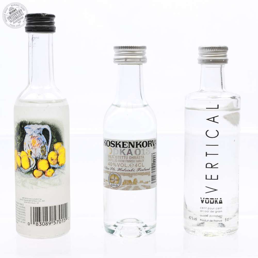 65605651_Vodka_Miniatures-1.jpg